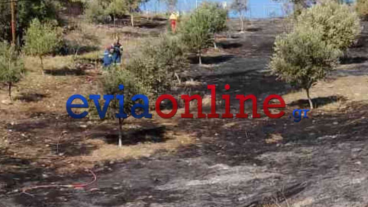 Τραγωδία στην Ερέτρια – Εντοπίστηκε νεκρός άνδρας μετά από πυρκαγιά σε χωράφι – Του ξέφυγε η φωτιά προσπαθώντας να κάψει χόρτα