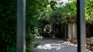 Δήμος Αθηναίων: Κλείνει από την Κυριακή 16/11 ο Εθνικός Κήπος