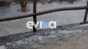 Κακοκαιρία Adel: Χωριό στην Εύβοια μετατράπηκε σε λευκό τοπίο (Βίντεο)(Βίντεο)