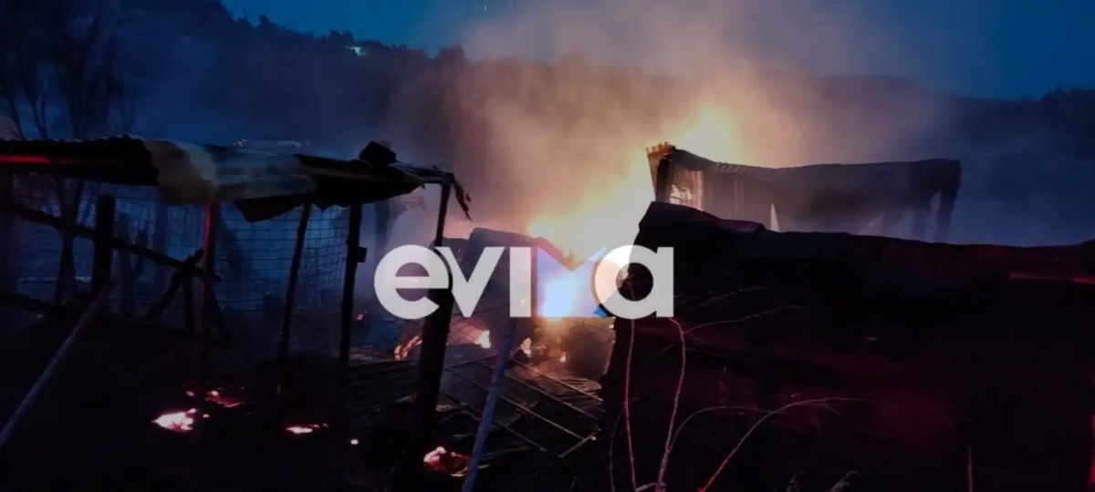 Φωτιά στη Λίμνη Εύβοιας: Κάηκε ολοσχερώς μαντρί – Νεκρά πρόβατα στις φλόγες