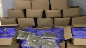 Ηγουμενίτσα: Εντοπίστηκαν περισσότερα από 353 κιλά κάνναβης σε νταλίκα (Βίντεο)