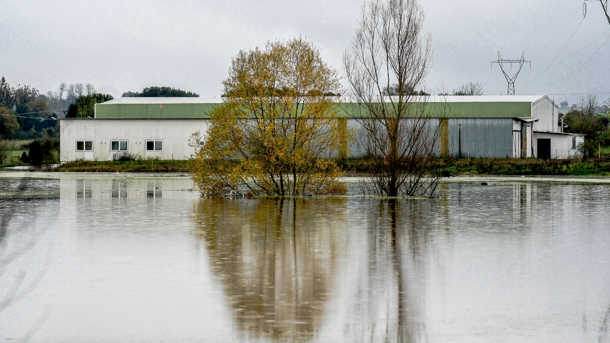 Η Δυτική Ελλάδα μετράει τις πληγές της από το σαρωτικό πέρασμα της κακοκαιρίας – Έρχεται νέα επιδείνωση σε λίγα 24ωρα (Βίντεο)