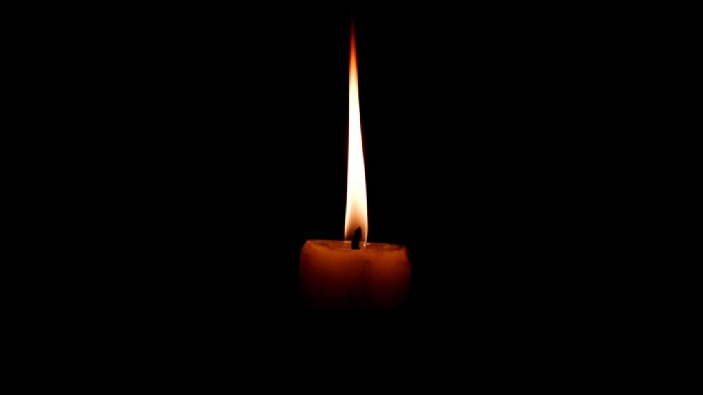 Αμαλιάδα: Μπούφος προκάλεσε μπλακ άουτ – Η μισή πόλη βυθίστηκε στο σκοτάδι