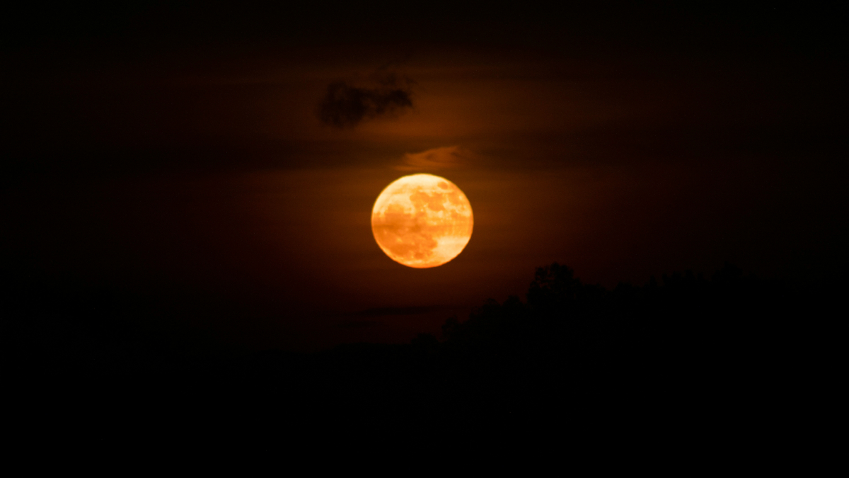 Πανσέληνος Νοεμβρίου: Το «Φεγγάρι του Κάστορα» θα είναι το μεγαλύτερο του 2025 – Πότε θα το δούμε
