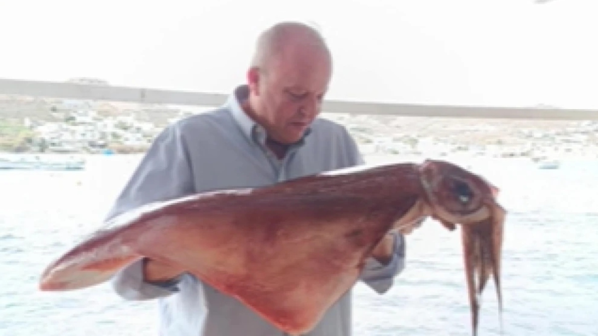 Μύκονος: Καλαμάρια 17 κιλών άφησαν άφωνους κατοίκους και ψαράδες (Βίντεο)