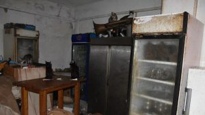 Νάξος: Συνελήφθη άνδρας που είχε εγκλωβισμένες 58 γάτες σε ακατάλληλες συνθήκες (Φωτογραφίες)