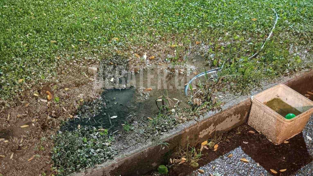 Νίκαια: Πολίτες καταγγέλλουν διαρροή νερού σε κεντρικό δρόμο (φωτογραφία)