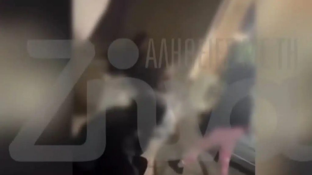 Περιστέρι: Σοκαριστικός ξυλοδαρμός 13χρονης από κοπέλες για… ένα αγόρι (Βίντεο)