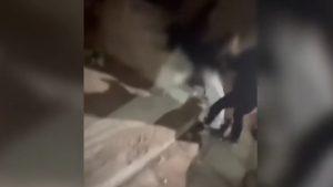 Περιστέρι: “Την κλώτσησαν, την χτύπησαν και την έφτυσαν” – Σοκάρει η μητέρα της 13χρονης που ξυλοκοπήθηκε από συνομήλική της