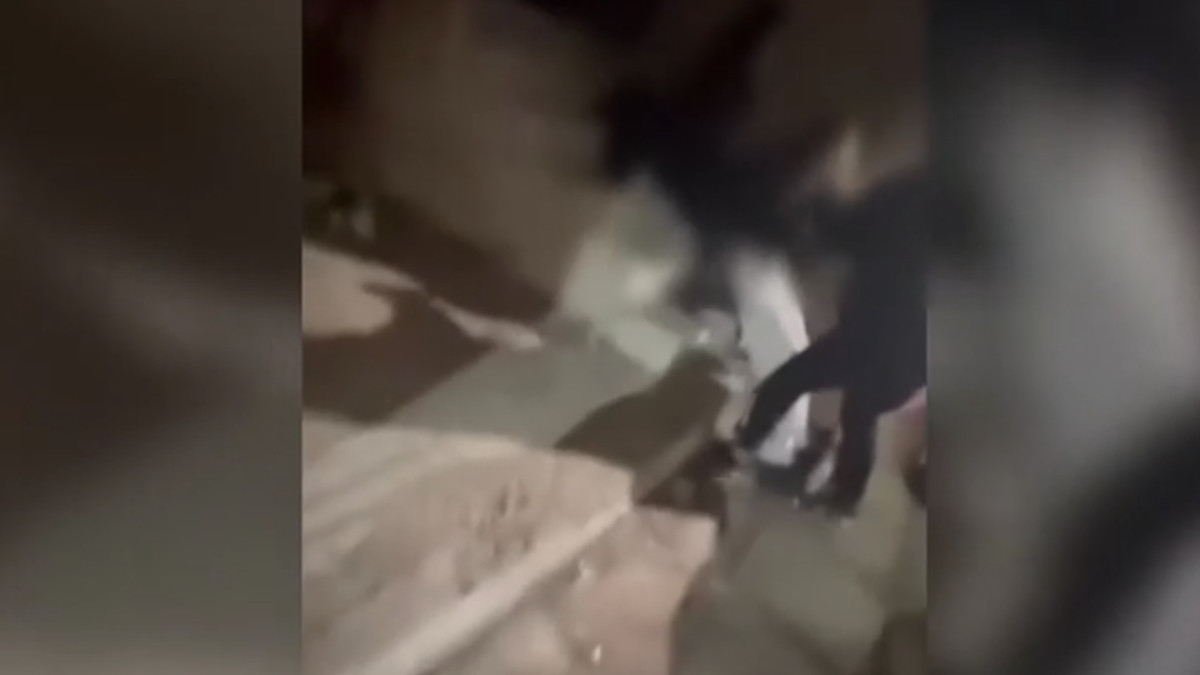 Περιστέρι: “Την κλώτσησαν, την χτύπησαν και την έφτυσαν” – Σοκάρει η μητέρα της 13χρονης που ξυλοκοπήθηκε από συνομήλική της