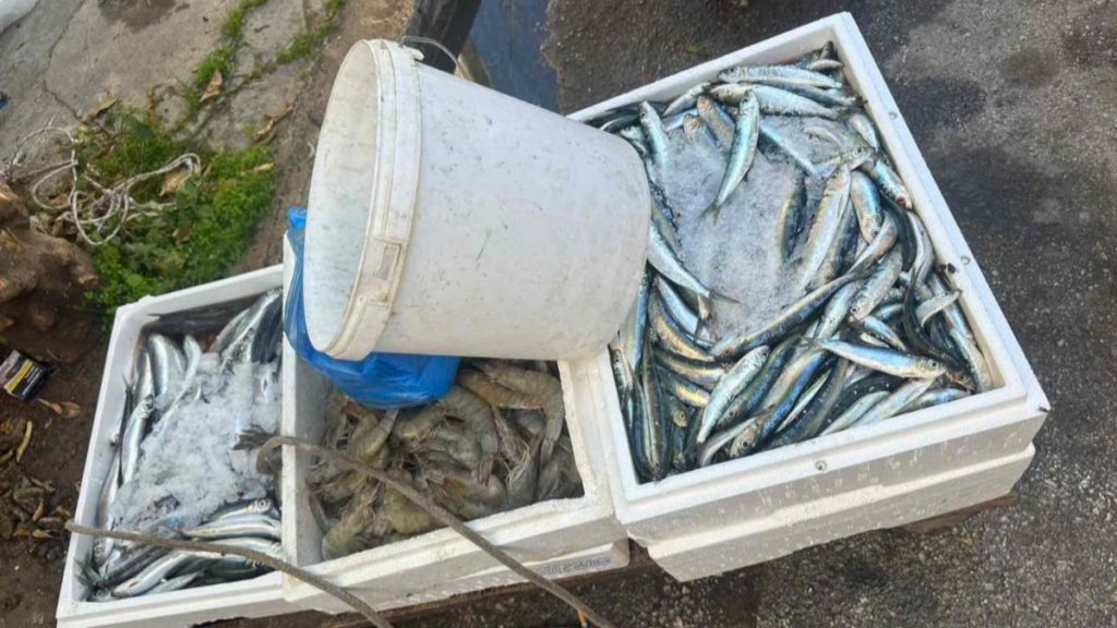 Επιχείρηση για την καταπολέμηση του παρεμπορίου στις λαϊκές αγορές – Κατασχέθηκαν πάνω από 150 κιλά ψάρια (φωτογραφίες)