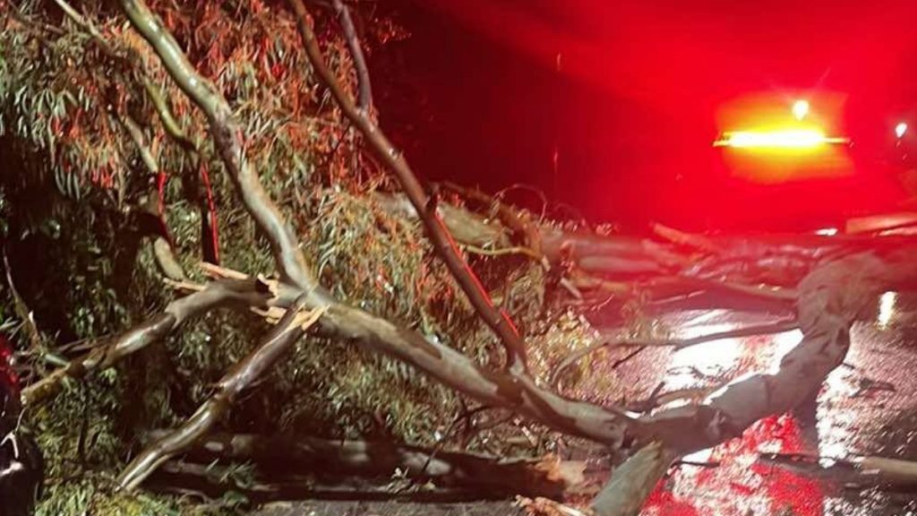 Κακοκαιρία Adel: Καταιγίδες και χαλαζοπτώσεις «σφυροκόπησαν» τη νύχτα την Αττική – Πτώσεις δέντρων και πλημμυρικά φαινόμενα (Βίντεο)