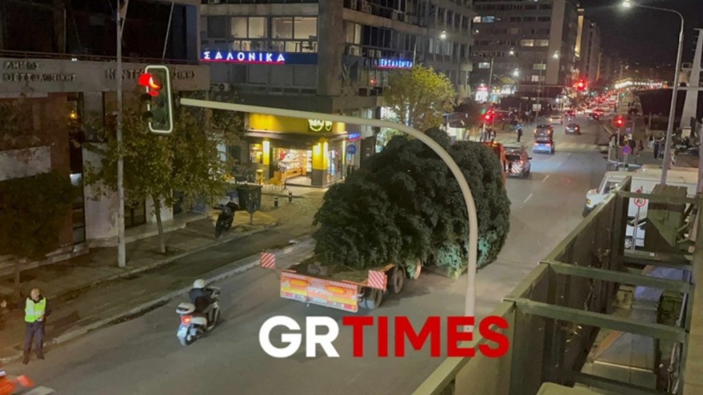 Στην πλατεία Αριστοτέλους το Χριστουγεννιάτικο έλατο, ύψους 18 μέτρων (Εικόνες & Βίντεο)