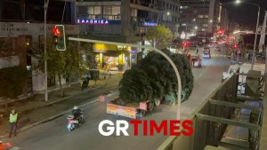 Στην πλατεία Αριστοτέλους το Χριστουγεννιάτικο έλατο, ύψους 18 μέτρων (Εικόνες & Βίντεο)
