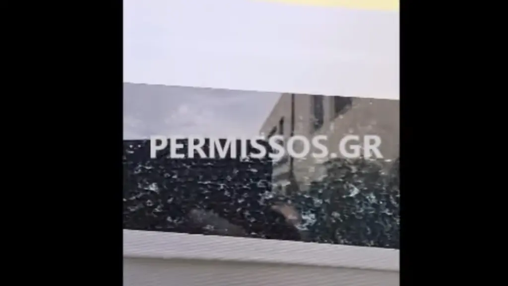 Θήβα: Ρομά κάλεσαν “για πλάκα” ασθενοφόρο και του έσπασαν τα τζάμια με πέτρες (βίντεο)