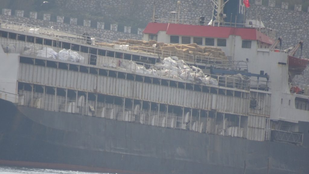 Τουρκία: 3.000 αγελάδες «εγκλωβισμένες» σε πλοίο από τις 21 Οκτωβρίου