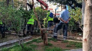 Κακοκαιρία ADEL: Γκρεμίστηκε μέρος της περίφραξης του Τζανείου μετά από πτώση δέντρου – Δείτε βίντεο και εικόνες