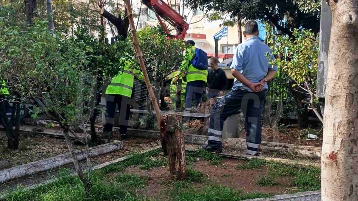 Κακοκαιρία ADEL: Γκρεμίστηκε μέρος της περίφραξης του Τζανείου μετά από πτώση δέντρου – Δείτε βίντεο και εικόνες