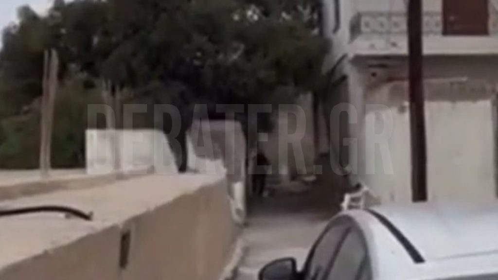 Βορίζια: Βίντεο ντοκουμέντο με τους πυροβολισμούς του γαμπρού του 39χρονου Φανούρη Καργάκη