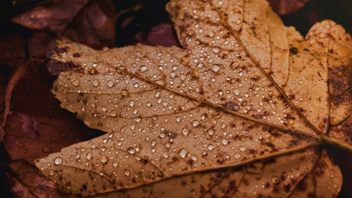 Ζώδια: Αυτά θα είναι τα 4 πιο τυχερά της τελευταίας εβδομάδας του Νοεμβρίου