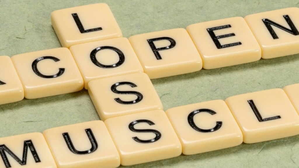 Σαρκοπενία: Γήρανση, απώλεια μυϊκής μάζας και νέα φάρμακα για την παχυσαρκία