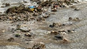 Ιεράπετρα: Αγωνία στα Φέρμα λόγω της κακοκαιρίας – “Λόγω της φωτιάς δεν υπάρχει δέντρο να κρατήσει τα νερά”