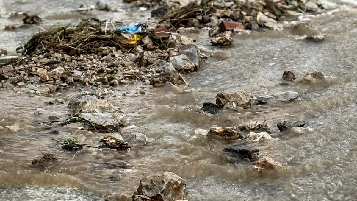 Ιεράπετρα: Αγωνία στα Φέρμα λόγω της κακοκαιρίας – “Λόγω της φωτιάς δεν υπάρχει δέντρο να κρατήσει τα νερά”