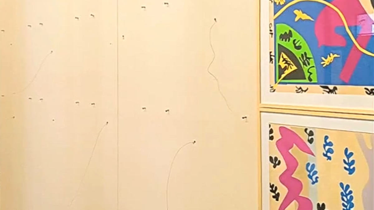 Βραζιλία: Ένοπλοι έκλεψαν 8 γκραβούρες του Ματίς από βιβλιοθήκη στο Σάο Πάολο – Απείλησαν τον φρουρό (βίντεο)