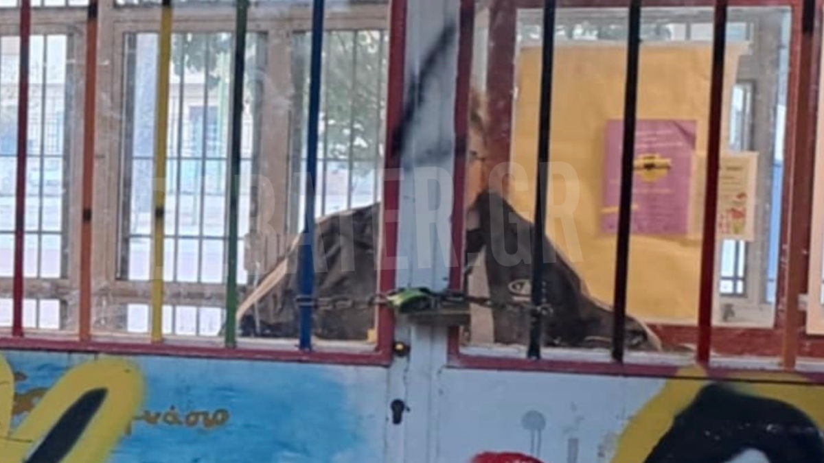 Κυψέλη: Μαθητές κλείδωσαν τους διευθυντές μέσα στο Γυμνάσιο όπου η 16χρονη μαχαίρωσε τη 14χρονη – Νέα στοιχεία για το αιματηρό περιστατικό