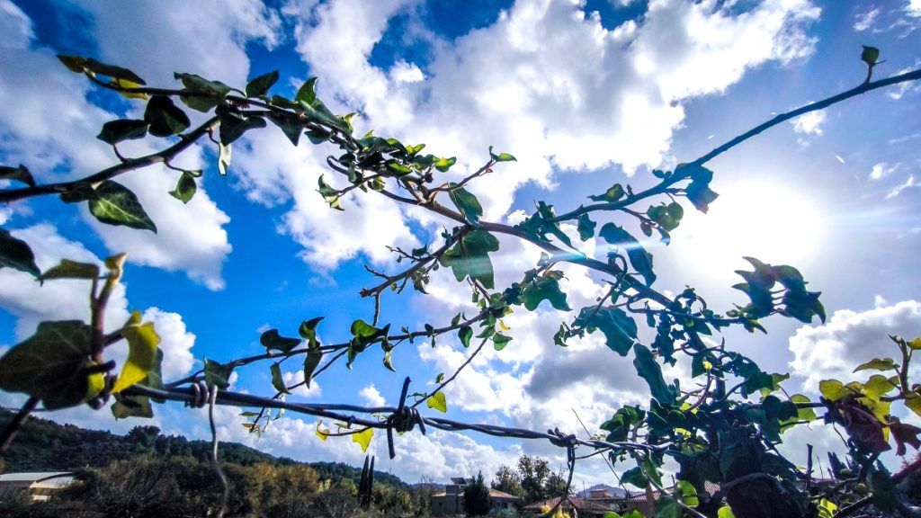 Καιρός: Ηλιοφάνεια με τοπικές νεφώσεις σήμερα – Πού θα φτάσει η θερμοκρασία