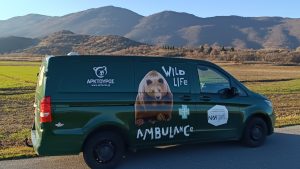 Ο “Αρκτούρος” απέκτησε το πρώτο ασθενοφόρο άγριων θηλαστικών στην Ελλάδα