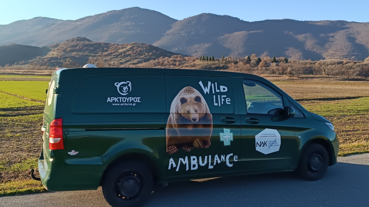 Ο “Αρκτούρος” απέκτησε το πρώτο ασθενοφόρο άγριων θηλαστικών στην Ελλάδα