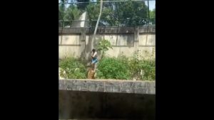 Σοκαριστικό βίντεο στη Βραζιλία: Λιοντάρια σε ζωολογικό κήπο κατασπαράζουν 19χρονο