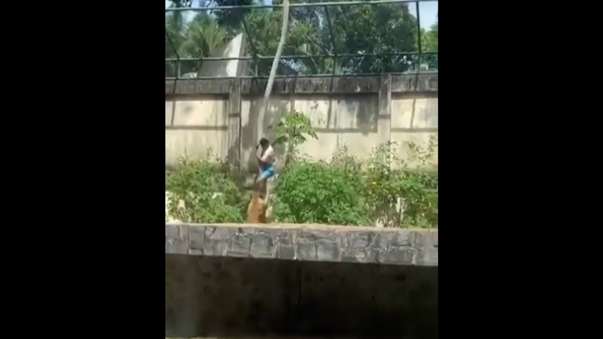 Σοκαριστικό βίντεο στη Βραζιλία: Λιοντάρια σε ζωολογικό κήπο κατασπαράζουν 19χρονο