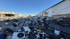 Ελαιώνας: Συνελήφθη 26χρονος για παραβάσεις περιβαλλοντικής νομοθεσίας