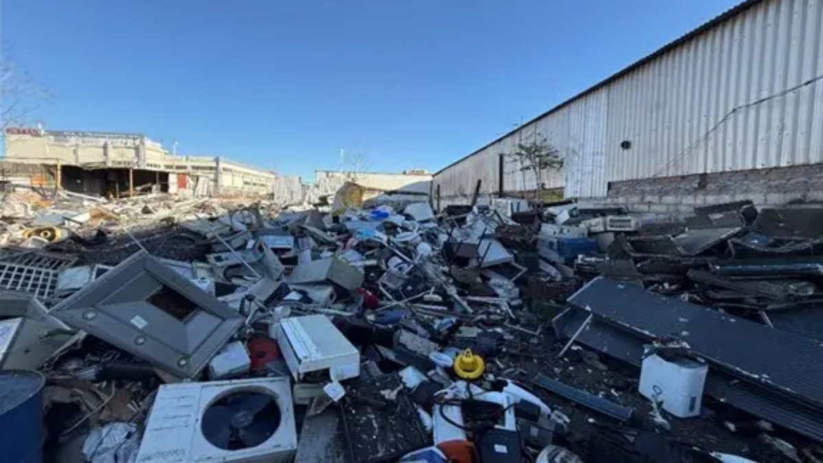 Ελαιώνας: Συνελήφθη 26χρονος για παραβάσεις περιβαλλοντικής νομοθεσίας