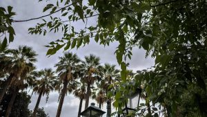 Κακοκαιρία Byron: Κλειστός ο Εθνικός Κήπος λόγω των ισχυρών βροχών