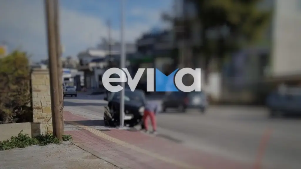 Εύβοια: Οδηγός έχασε τον έλεγχο μετά από τσίμπημα σφήκας – Το ΙΧ καρφώθηκε σε κολώνα