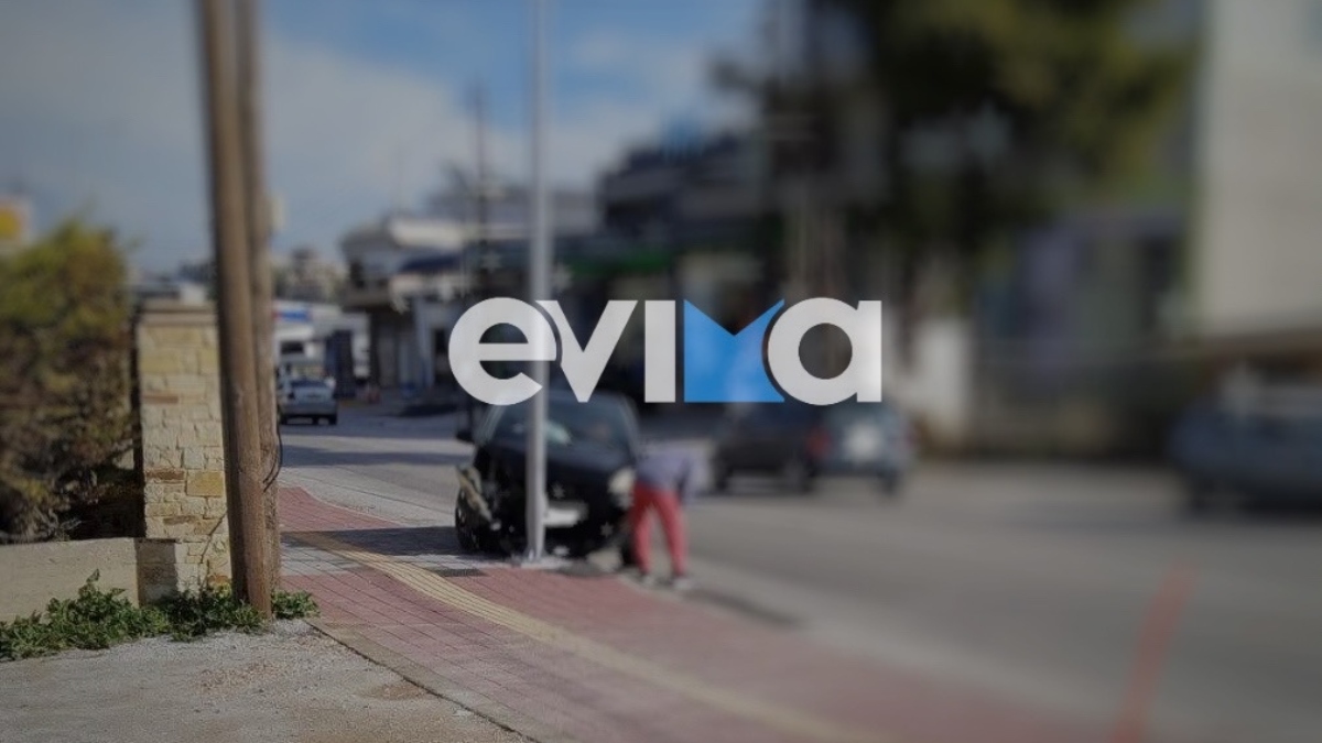 Εύβοια: Οδηγός έχασε τον έλεγχο μετά από τσίμπημα σφήκας – Το ΙΧ καρφώθηκε σε κολώνα