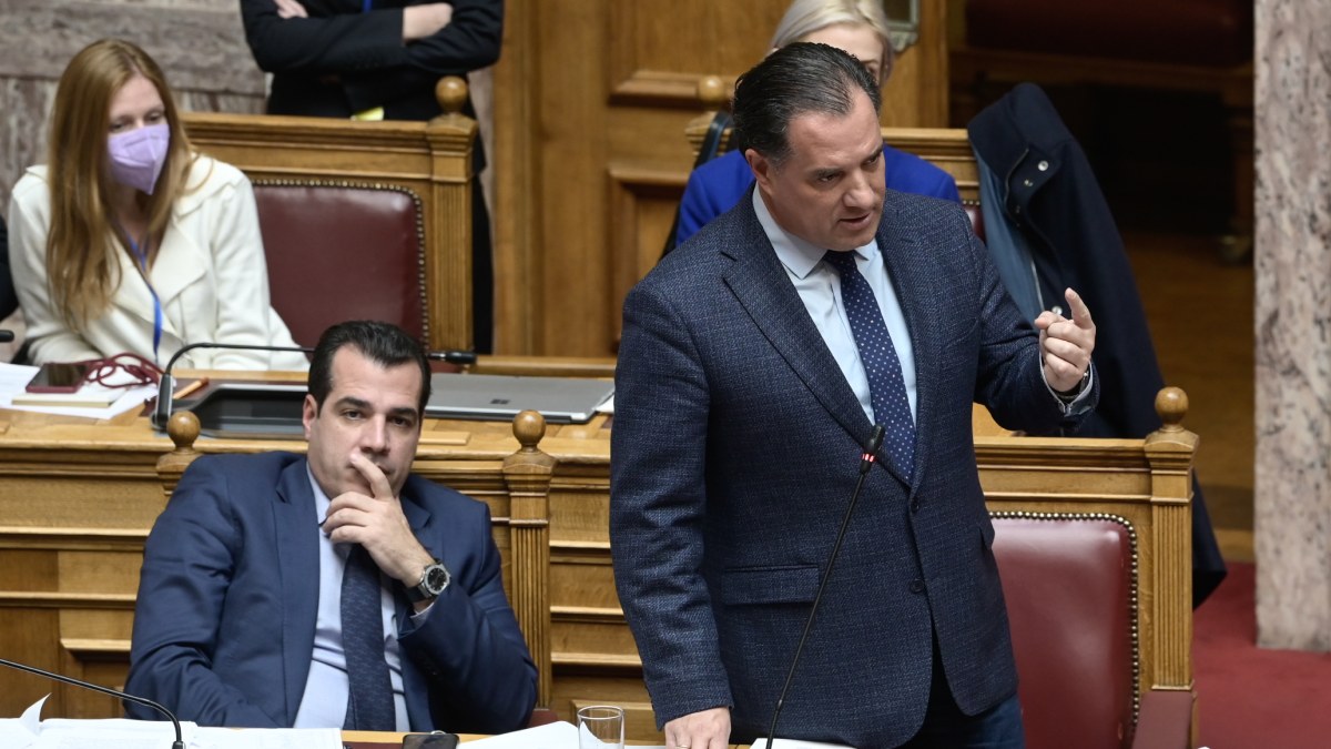 Πυρά Πλεύρη και Γεωργιάδη για το Δικαστήριο της Χάγης και την Διεθνή Αμνηστία: “Αδιάφορα και αριστεροκρατούμενα”