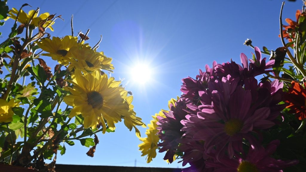 Ήπιος ο καιρός τις επόμενες μέρες: Ηλιοφάνεια και υποχώρηση των βροχοπτώσεων – Νέα κακοκαιρία από τα μέσα του μήνα