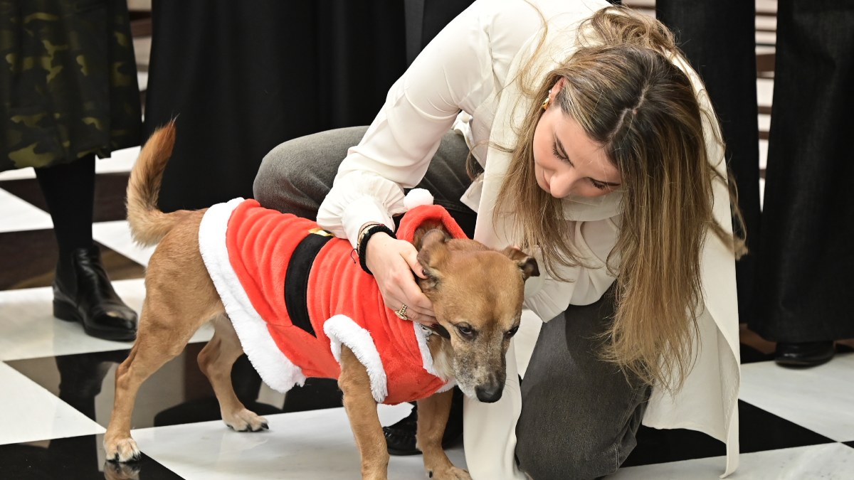 Μητσοτάκης