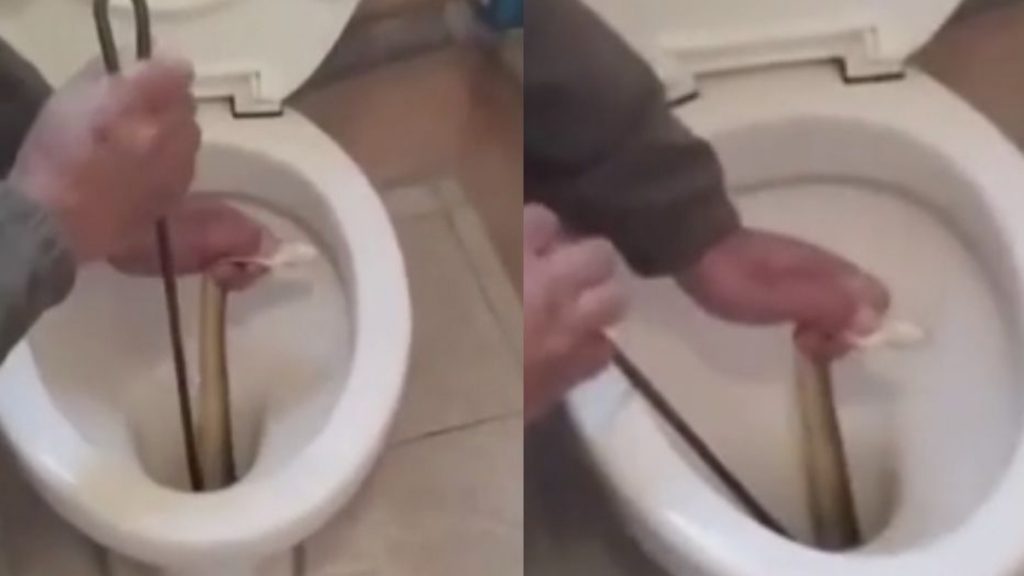 Πανικός σε σπίτι στην Καστοριά: Ένοικοι βρήκαν φίδι στη λεκάνη της τουαλέτας