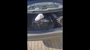 Καστοριά: Χειροπέδες σε τρία άτομα που έκρυψαν 28 κιλά κάνναβης σε πορτ μπαγκάζ αυτοκινήτου (βίντεο)