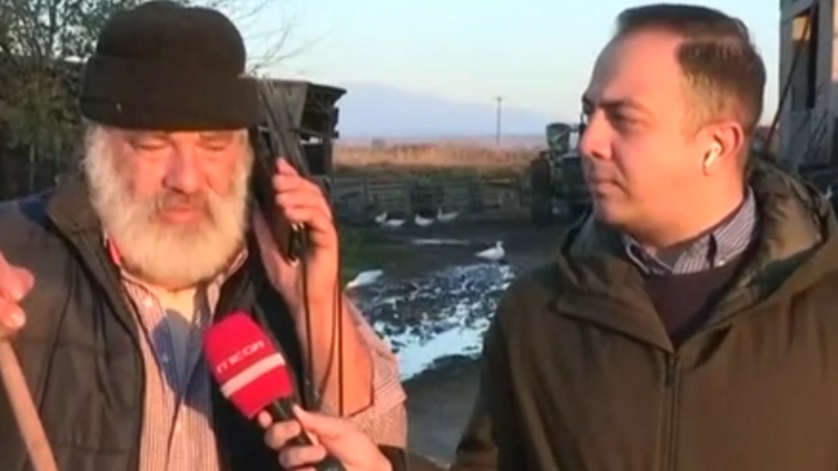 Συγκλονίζει ο κτηνοτρόφος που θανατώνουν τα πρόβατά του – “Είναι το τελευταίο κοπάδι της φυλής Ρουμλουκίου στην Ελλάδα” (βίντεο)