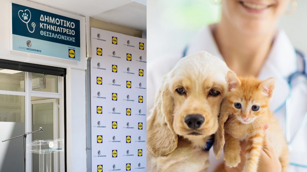 Η Lidl Ελλάς αλλάζει τα δεδομένα στην προστασία των ζώων: Σε λειτουργία το νέο Δημοτικό Κτηνιατρείο Θεσσαλονίκης