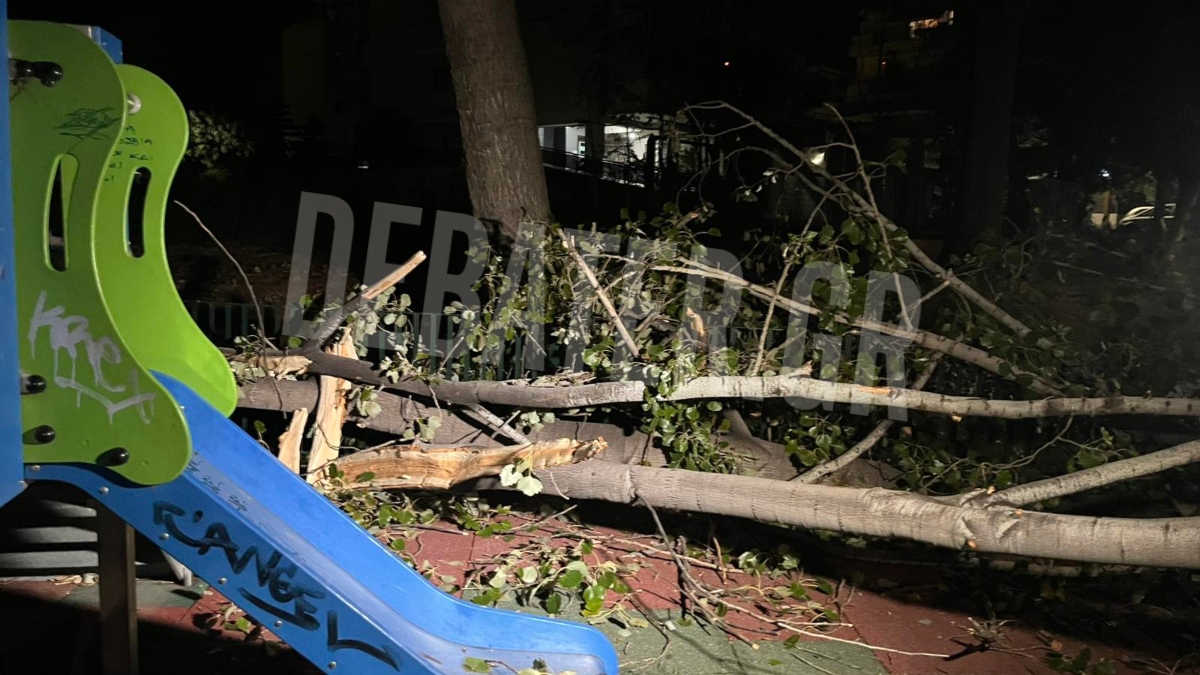 Χαϊδάρι: Δέντρο έπεσε πάνω σε παιδική χαρά – Εγγόνι και γιαγιά γλύτωσαν την τελευταία στιγμή (εικόνα)