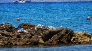 Εθνικά Θαλάσσια Πάρκα: Εγκρίθηκαν οι Ειδικές Περιβαλλοντικές Μελέτες για Ιόνιο, Ν. Αιγαίο και Ν. Κυκλάδες -Τι αλλάζει