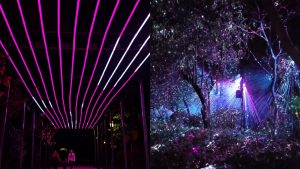 Μαγικά Χριστούγεννα στο Πεδίον του Άρεως – Δείτε το μονοπάτι με τα μαγικά φώτα (vids)