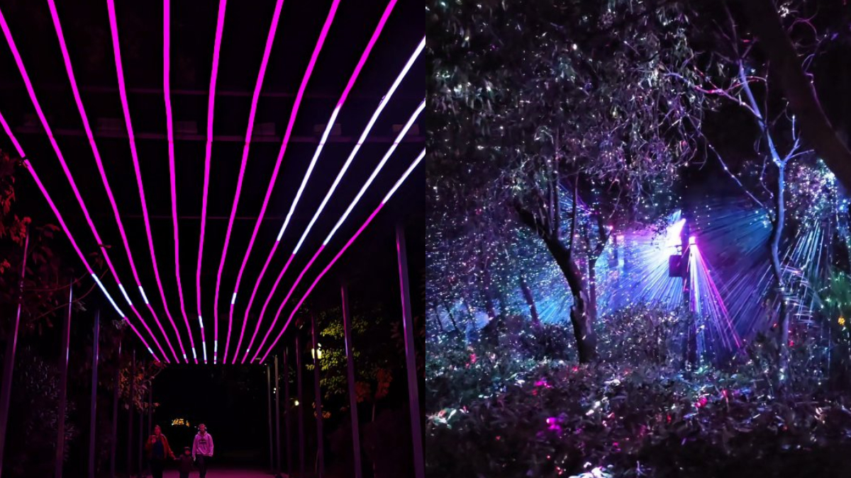 Μαγικά Χριστούγεννα στο Πεδίον του Άρεως – Δείτε το μονοπάτι με τα μαγικά φώτα (vids)